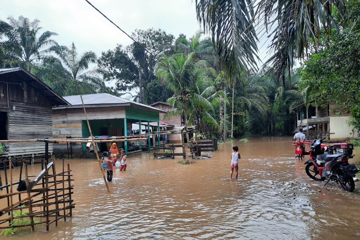 Banjir sedalam satu meter rendam sembilan desa di Aceh Singkil