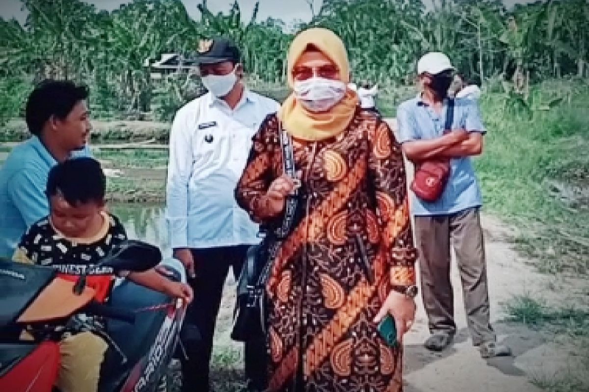 DPRD Kotim minta pemkab bantu pemenuhan pupuk bersubsidi