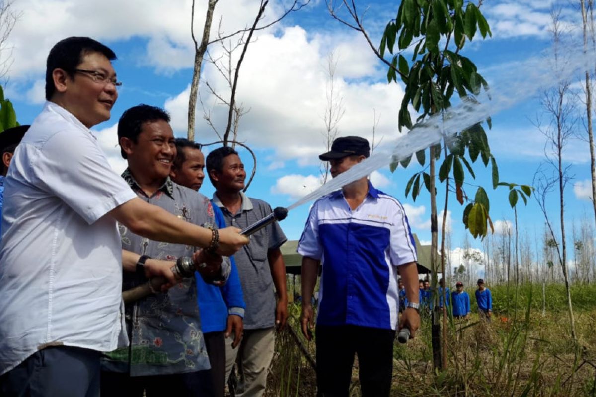 BRG terus perkuat ekonomi warga sekitar, cegah kebakaran lahan