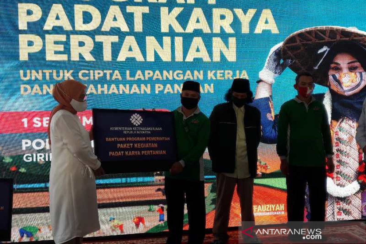 Menaker berikan bantuan program padat karya pertanian di Magelang