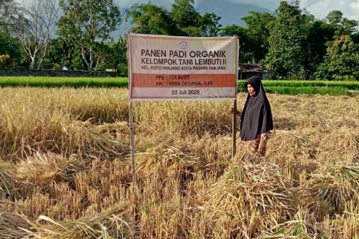 Petani di Padang Panjang raih prestasi di ajang Petani Berprestasi Sumbar