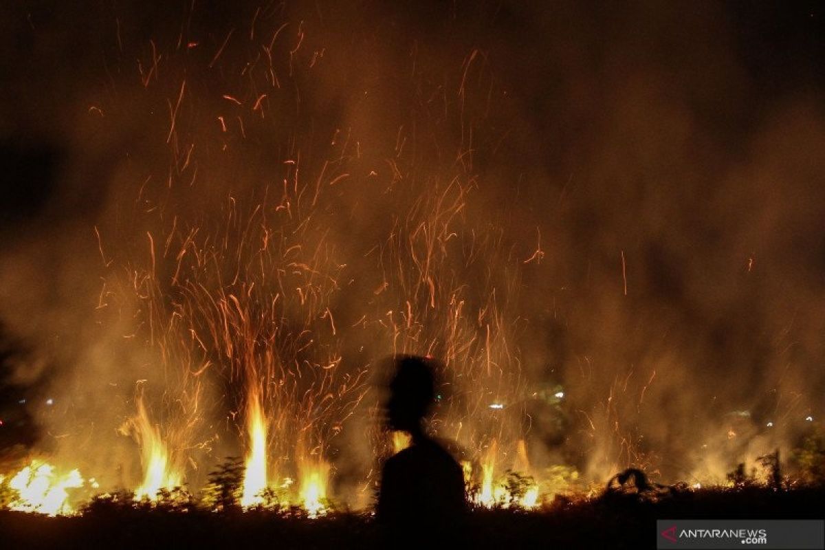 Walhi Sumsel minta Satgas Karhutla tingkatkan pembasahan daerah rawan