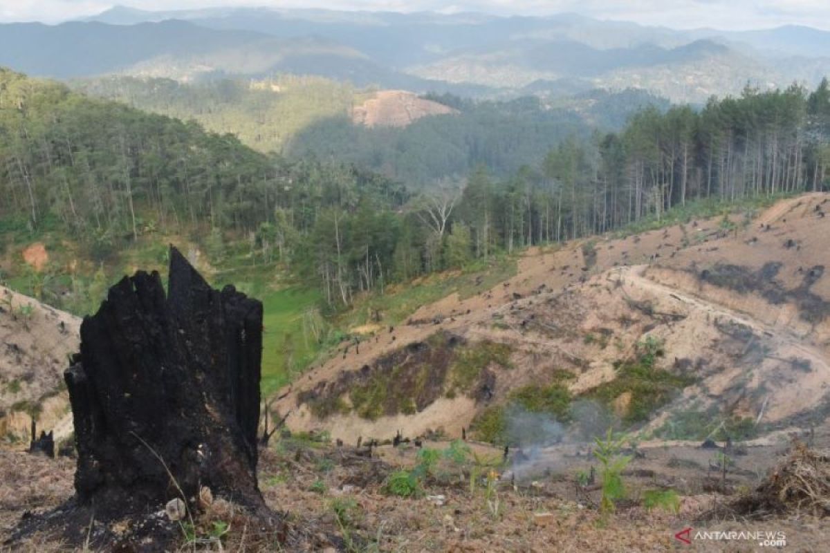 Anggota DPR soroti eksplorasi hutan berlebihan di Kalsel