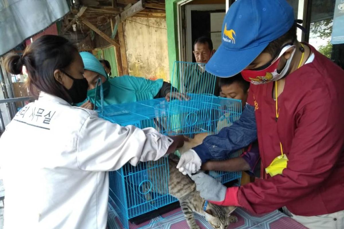 Jakarta Utara gelar vaksin rabies hewan peliharaan