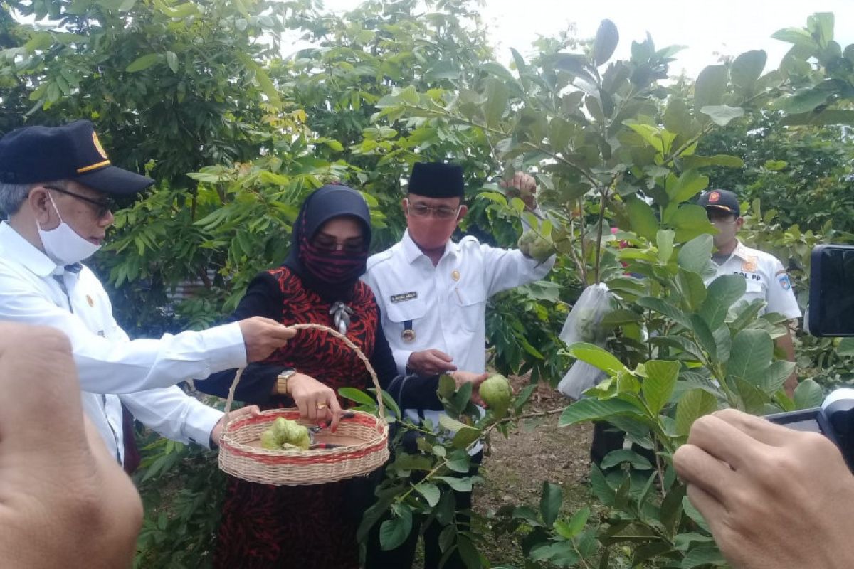 Wali Kota Mataram mencanangkan agrowisata hortikultura