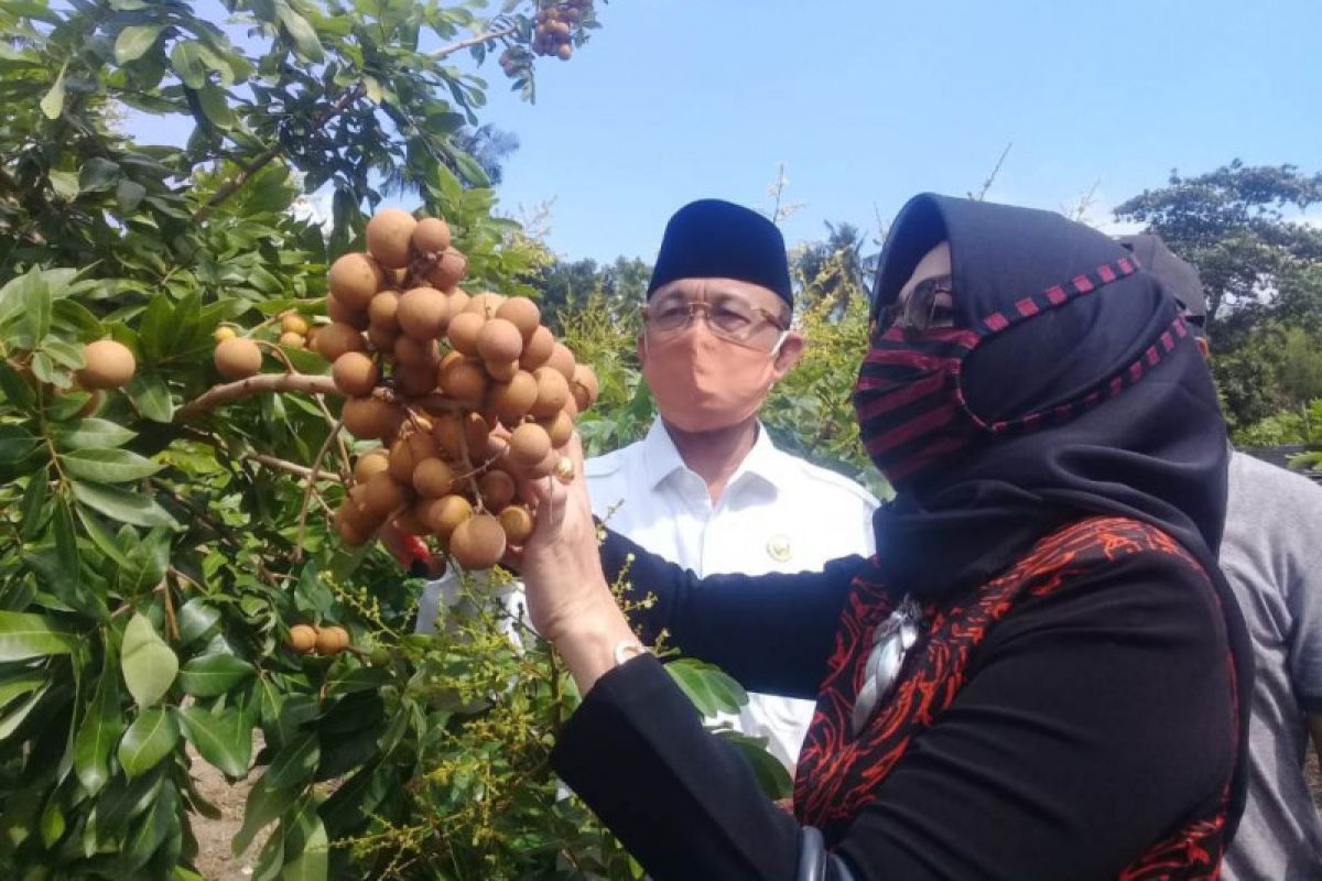 Kemarin, dukungan paslon, penerapan upah hingga agrowisata di Mataram