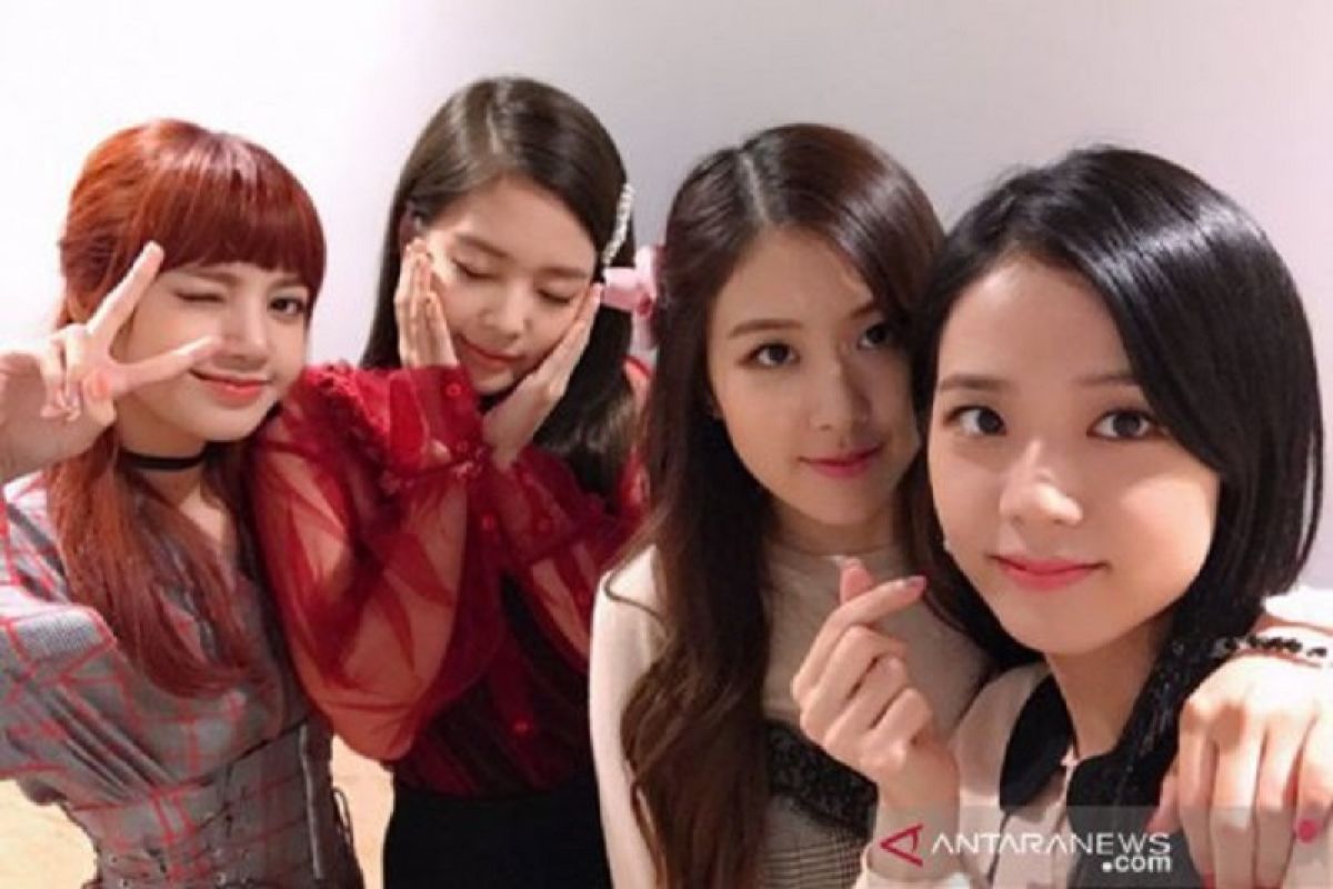 BLACKPINK artis dengan pelanggan kedua terbanyak di YouTube