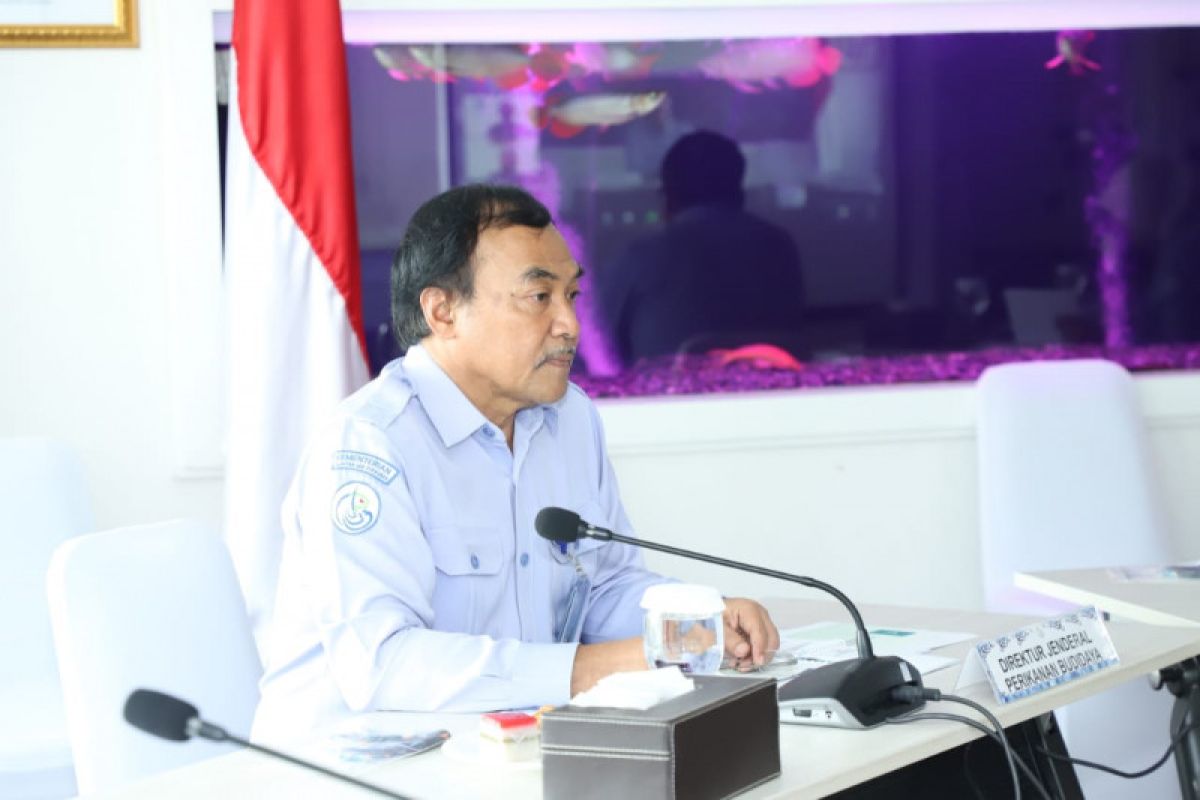 KKP: Sistem bioflok bantu tingkatkan konsumsi protein ikan di NTT