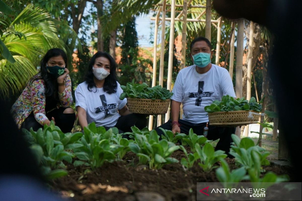 Wali Kota Denpasar lakukan panen perdana di kebun pekarangan rumah