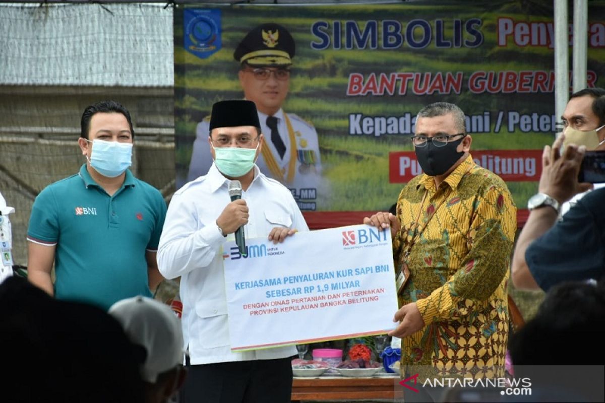 Gubernur Babel serahkan KUR BNI Rp1,9 miliar ke Poktan Rejosari