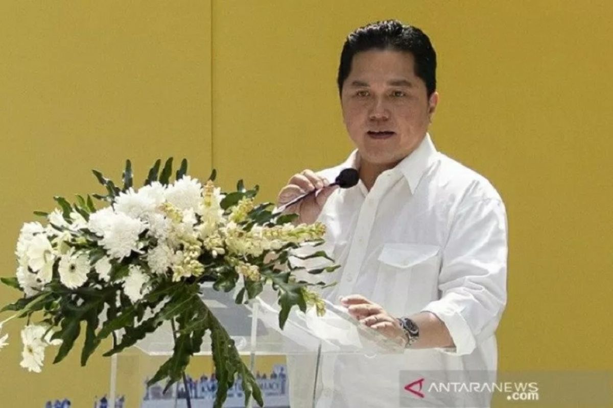 Erick Thohir sebut 1,5 juta tenaga medis harus dapat vaksin duluan