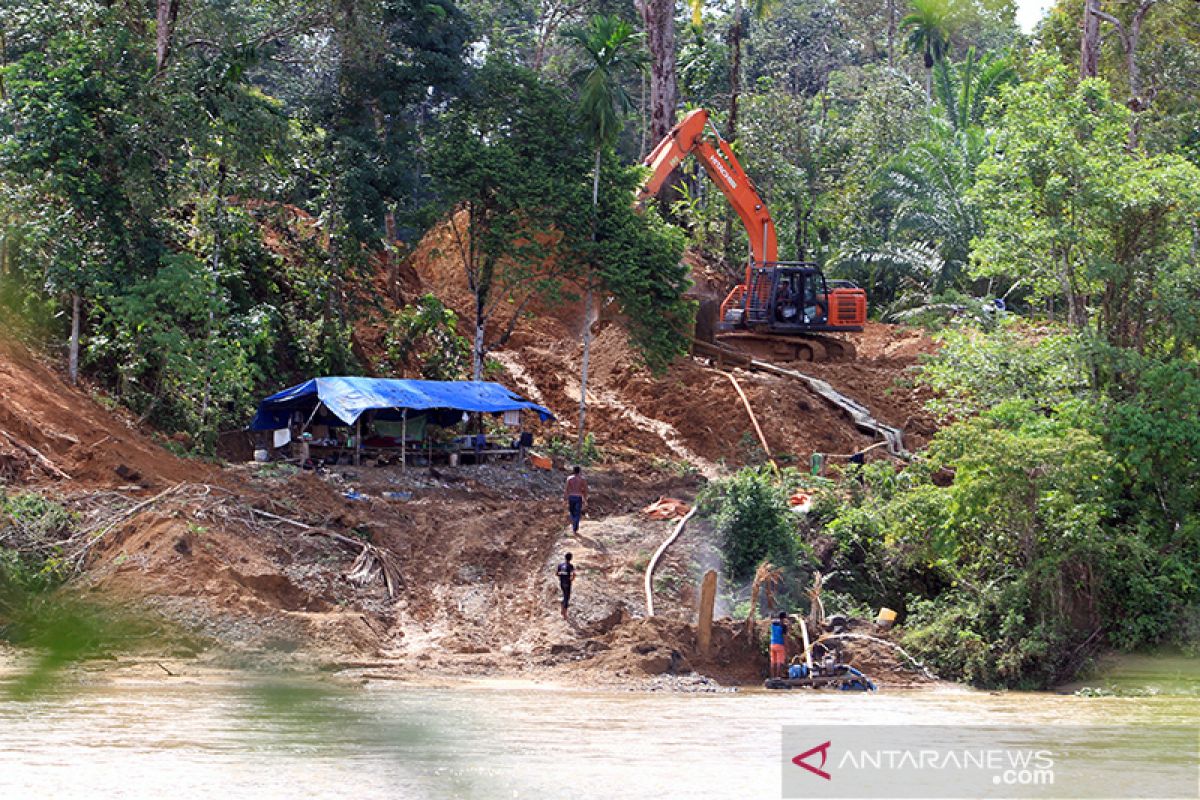 Walhi desak pemerintah tertibkan tambang emas ilegal di Aceh Barat