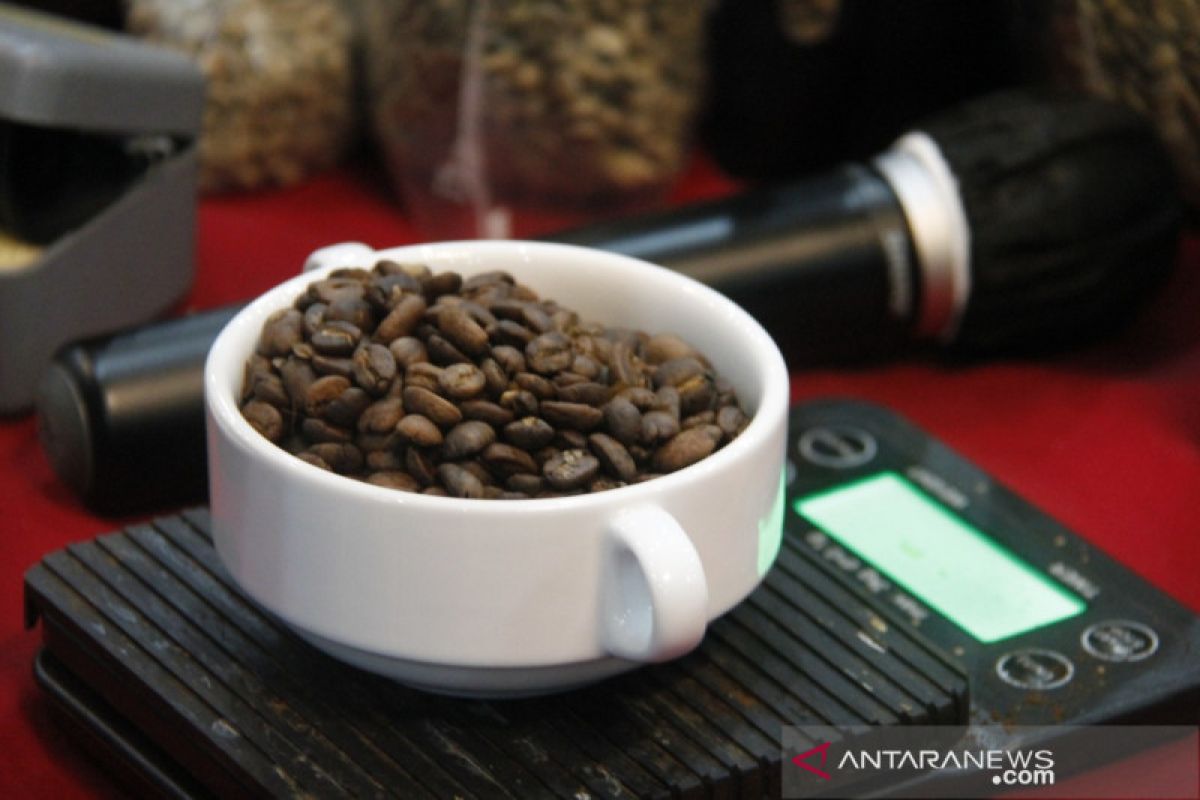 Kemenparekraf gali potensi kopi lokal di Danau Toba