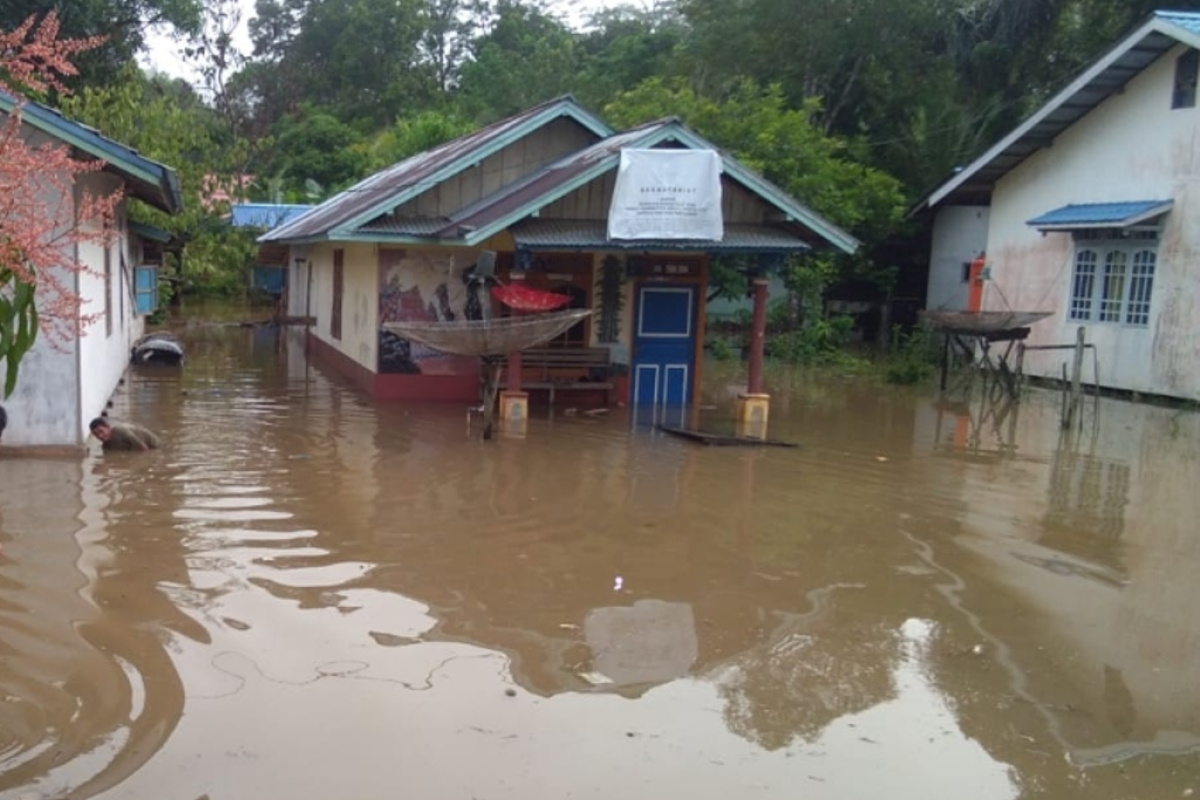 Puluhan rumah di Silat Hilir terendam banjir