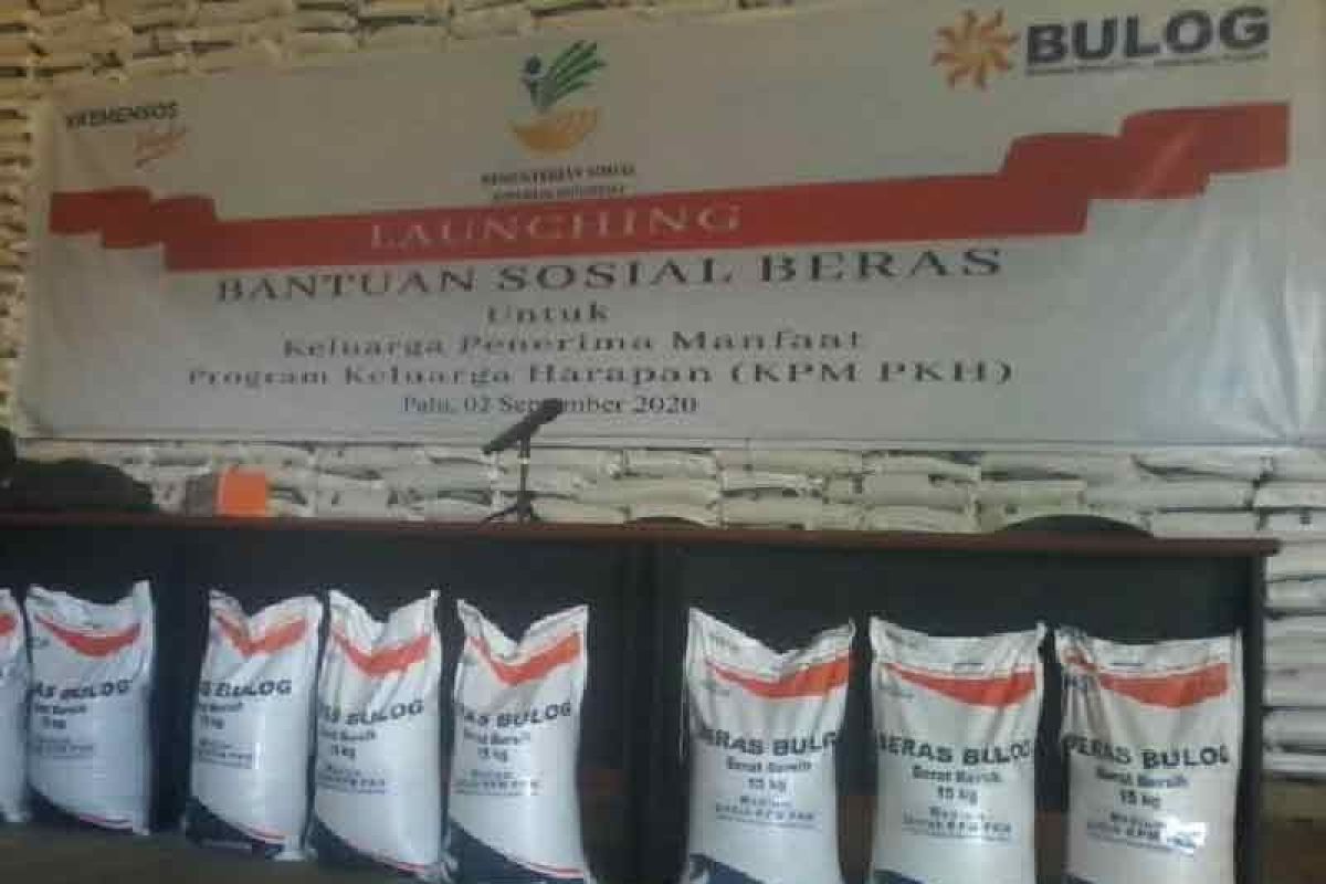 Sebanyak 163.356 Keluarga Penerima Manfaat Riau terima bansos beras 30 kg