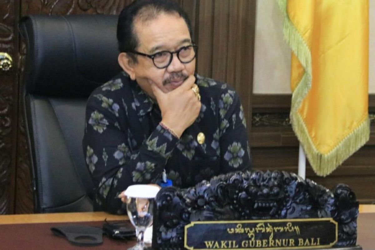 Pemprov Bali dukung industri kreatif di tengah pandemi COVID-19