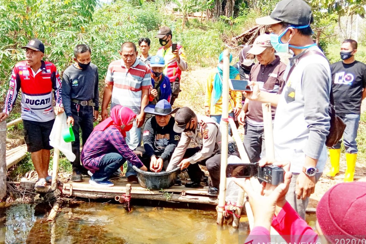 Disnakan Ogan Komering Ulu bantu  kelompok tani 3.000 bibit ikan baung