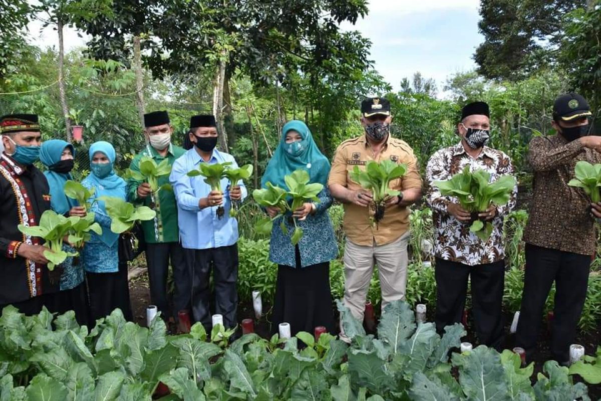 Pemkab Aceh Tengah dorong ketahanan pangan di pekarangan rumah