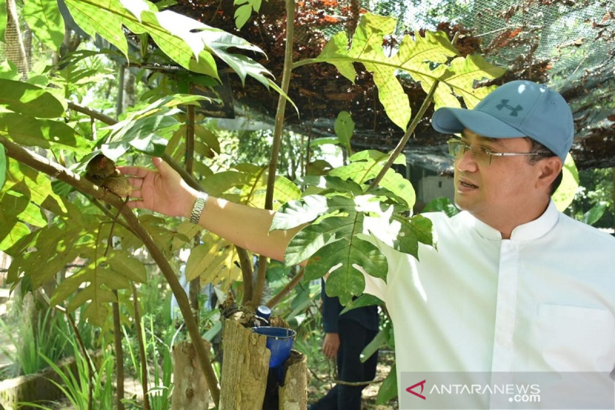 Pemprov Babel kembangkan wisata Batu Mentas, tempat penangkaran tarsius