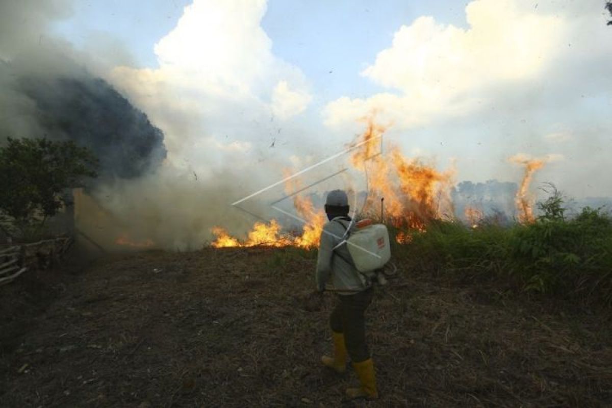 250 Hektare lahan terbakar Juli-Agustus 2020 di Sumatera Selatan