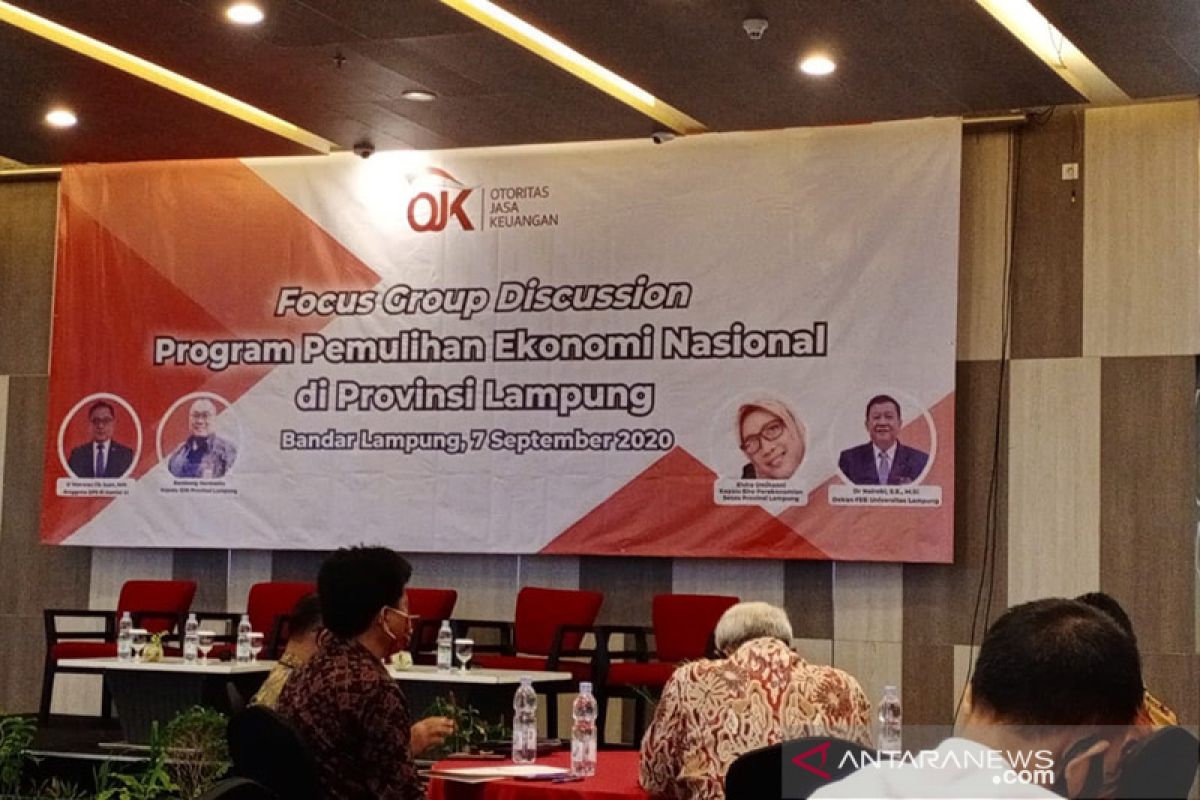 OJK nilai ekonomi Lampung segera pulih