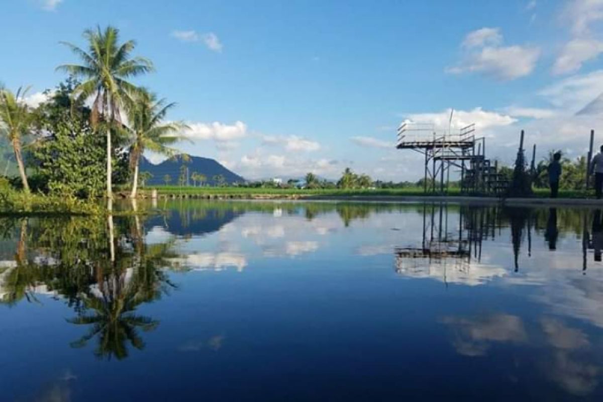 Take a peek at the green Kampung Jawa of Jaro Village