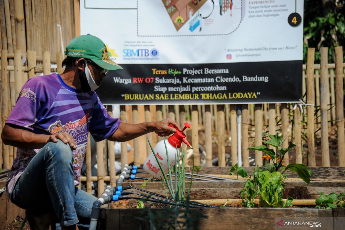 Distan Karawang bagikan benih sayuran ke masyarakat untuk ditanam mandiri