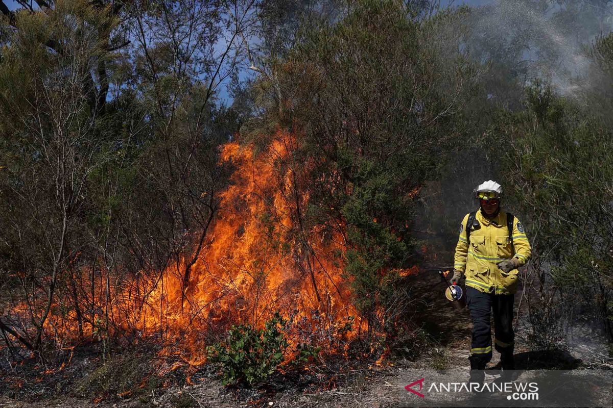 81 rumah di Australia barat hancur dilalap api