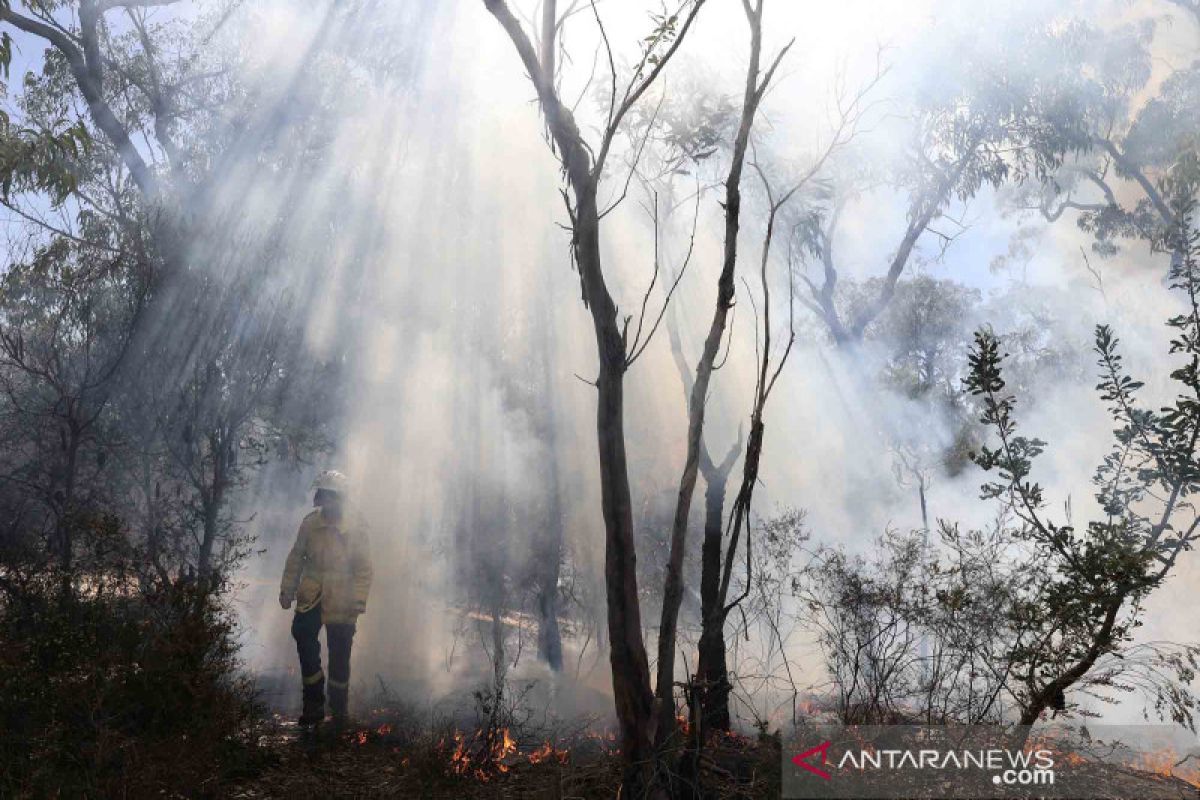 Gelombang panas kembali terjang Australia hari pertama musim panas