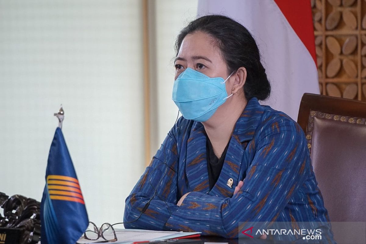 Puan meminta pemerintah pusat-daerah perkuat koordinasi atasi COVID-19