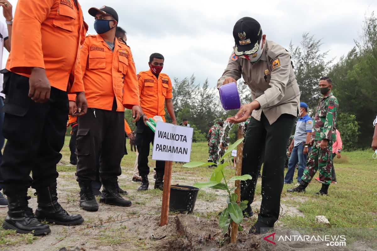 Pemkot Pariaman akan buat aturan lindungi pohon pinago guna wujudkan mitigasi tsunami