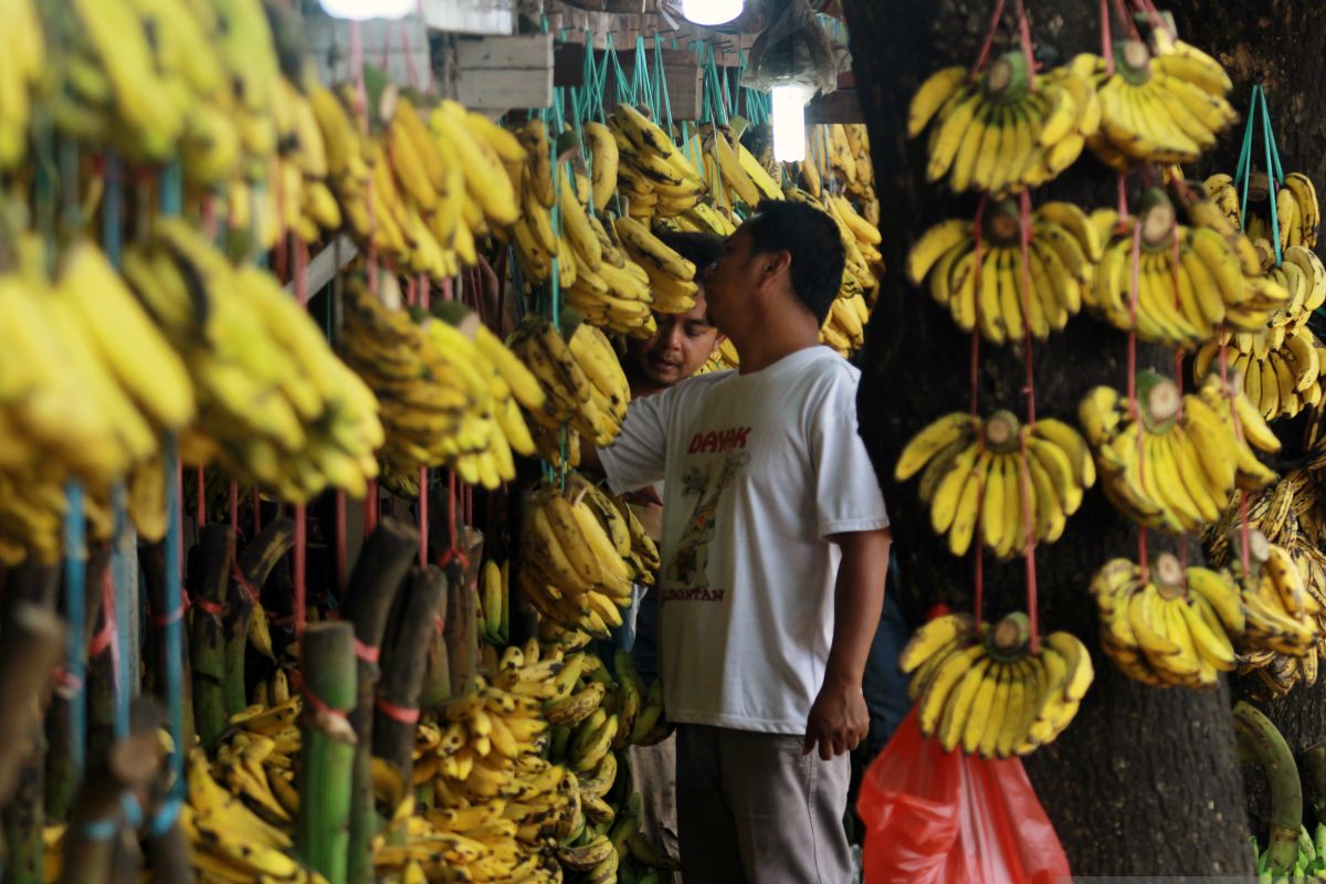 Pisang salah satu obat alami mengatasi diare