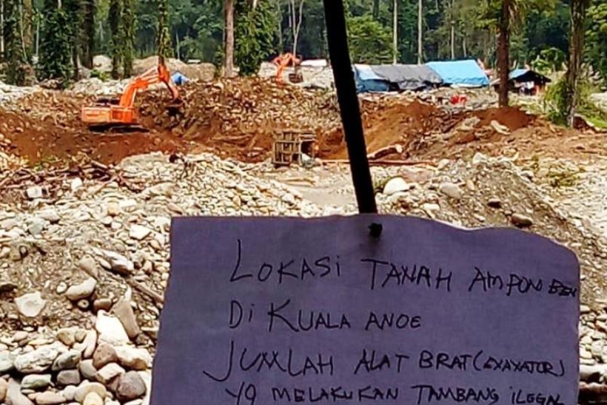 Walhi desak pemerintah tertibkan tambang emas ilegal di Aceh Barat