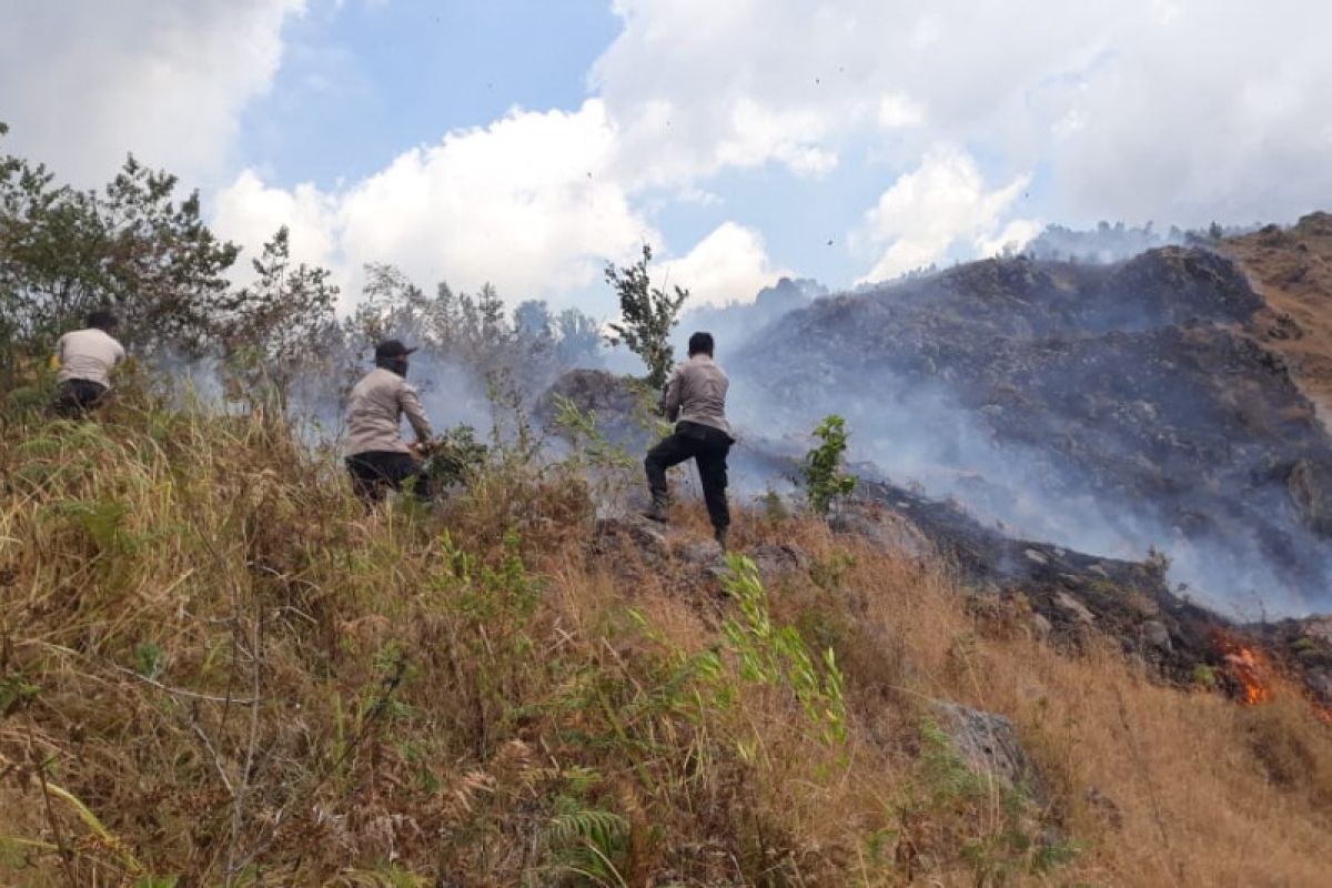 Pelaku pembakaran lahan savana kaki Gunung Rinjani dijadikan tersangka