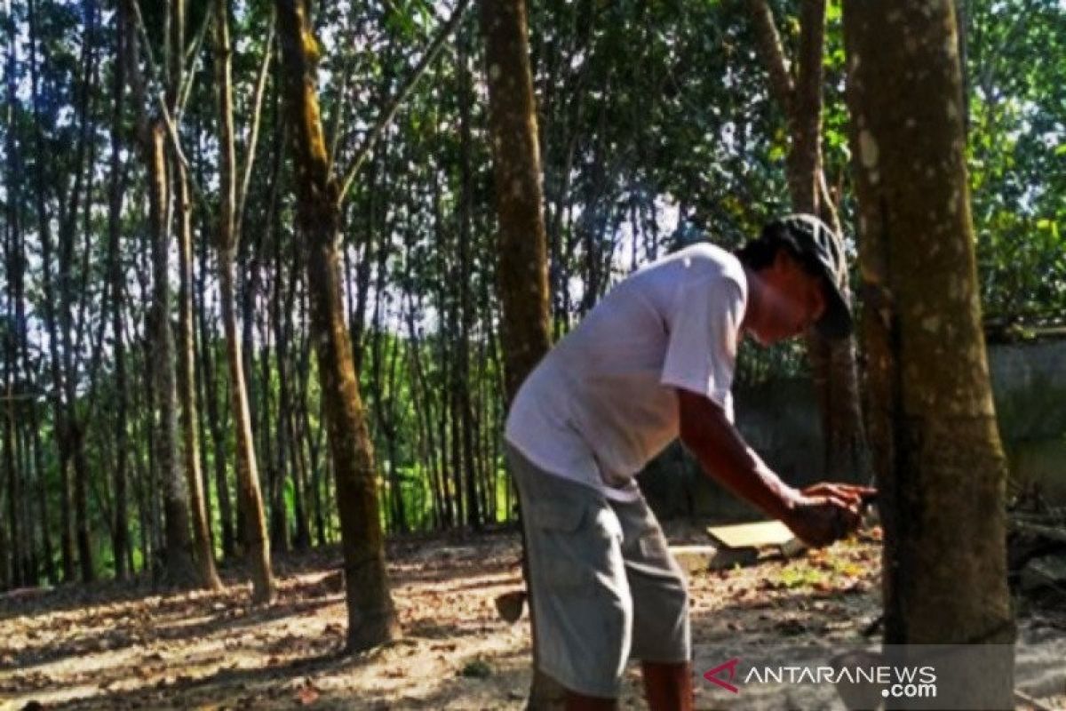 Indonesia buka peluang untuk kerja sama industri ban dengan China