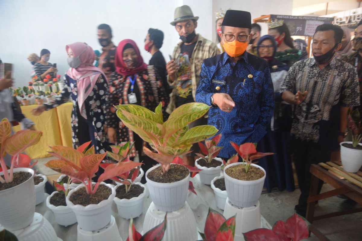 Gubernur: Festival bunga diharapkan membawa manfaat ekonomi bagi UMKM