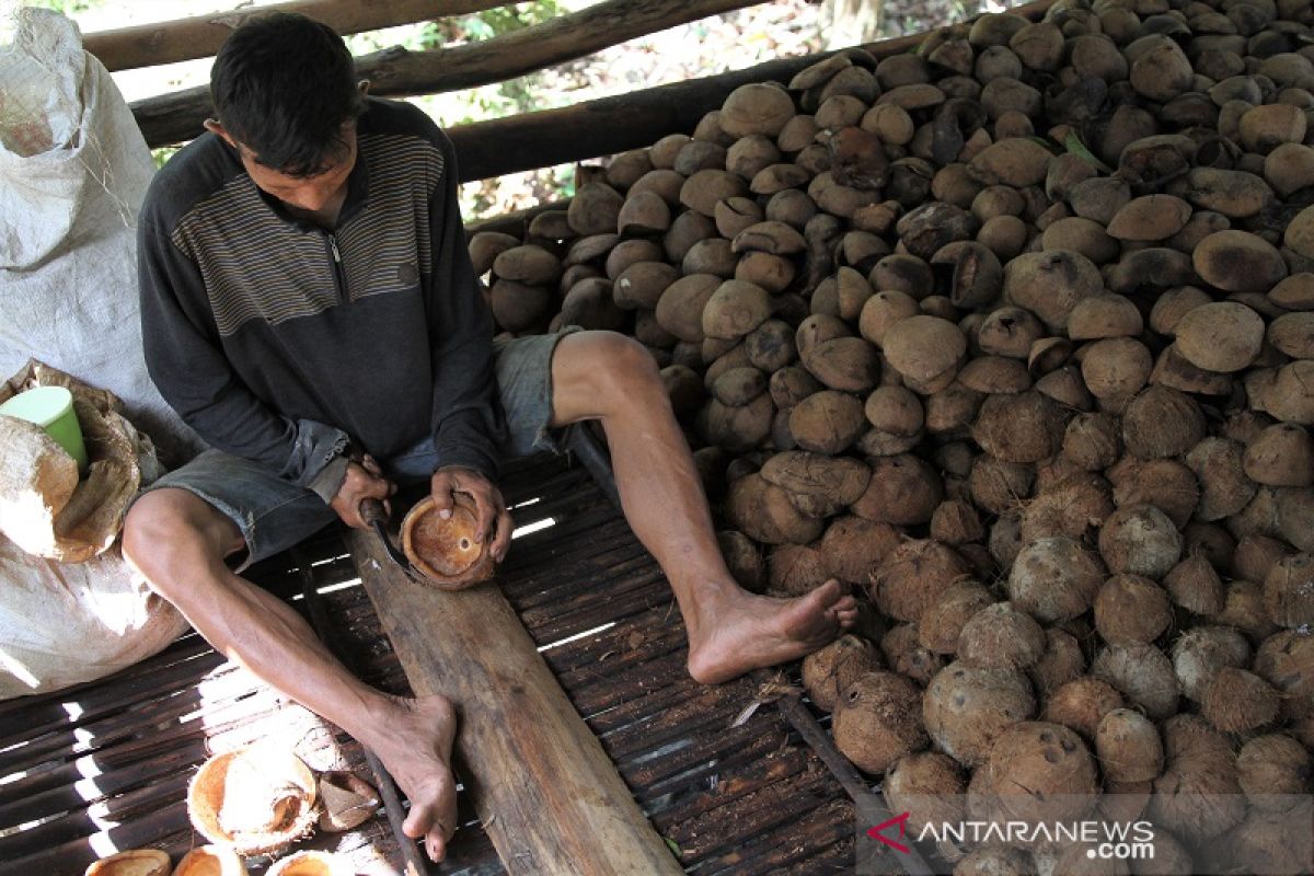 PRODUKSI TURUN HARGA KOPRA NAIK