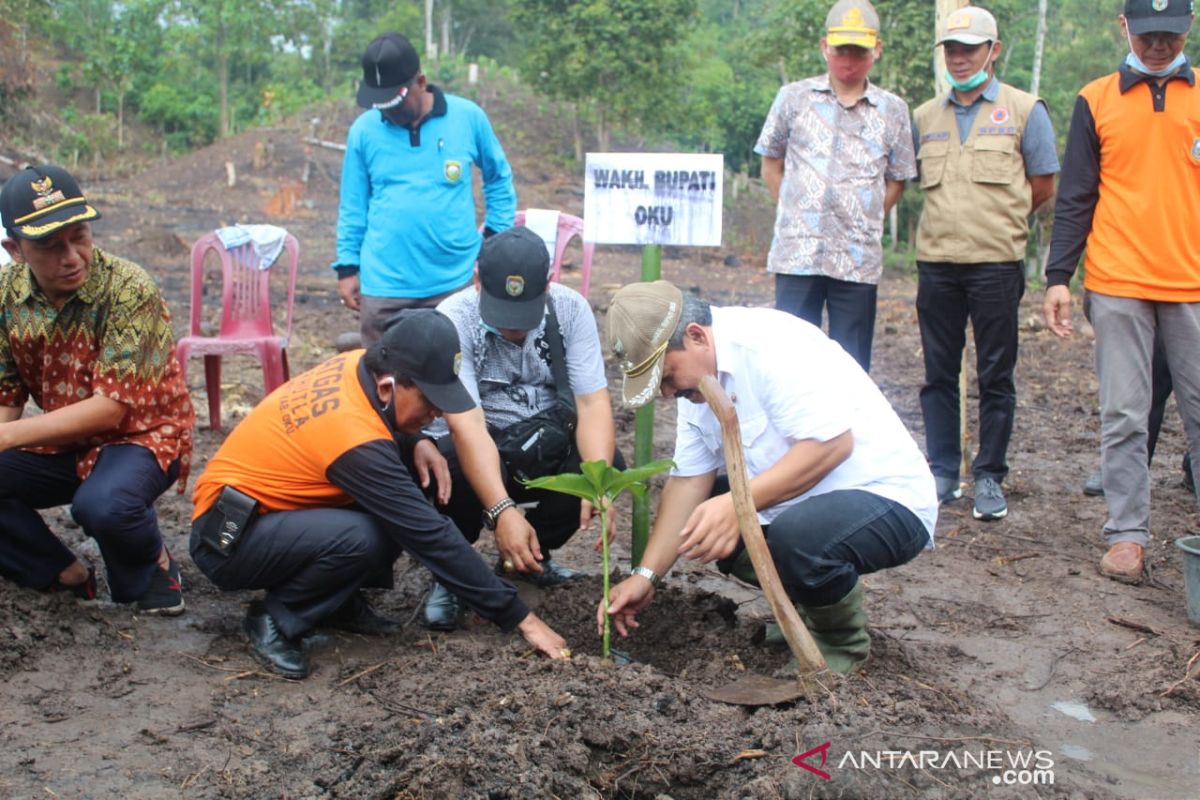 Masyarakat Desa Sundan OKU budidayakan  tanaman Porang