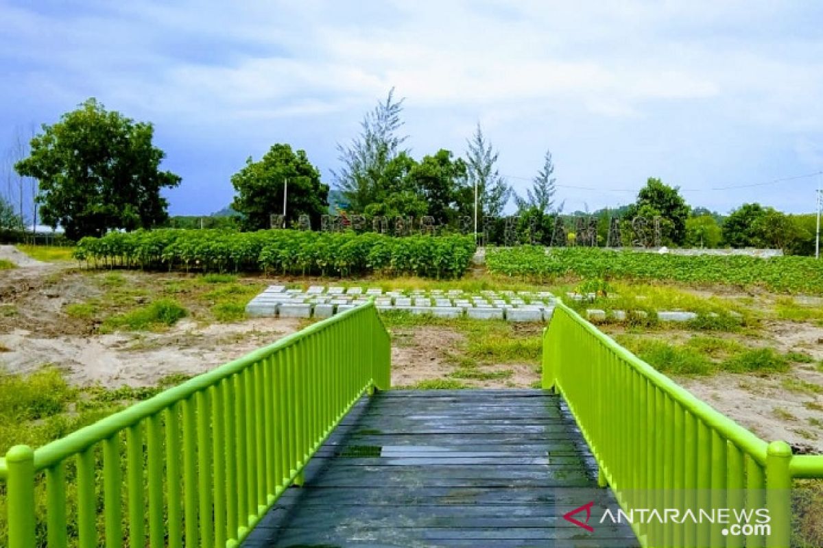 PT Timah ubah reklamasi tambang di Selinsing jadi agrowisata