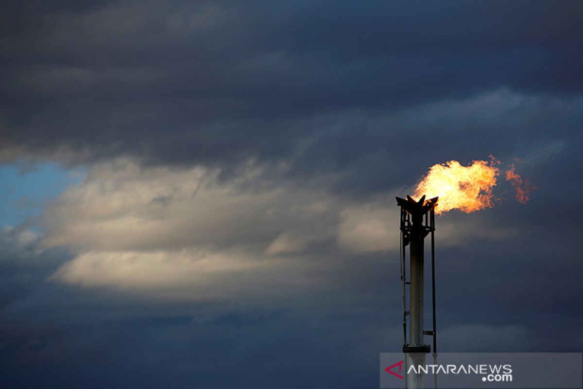 Jelang pertemuan OPEC, harga minyak jatuh sekitar empat persen
