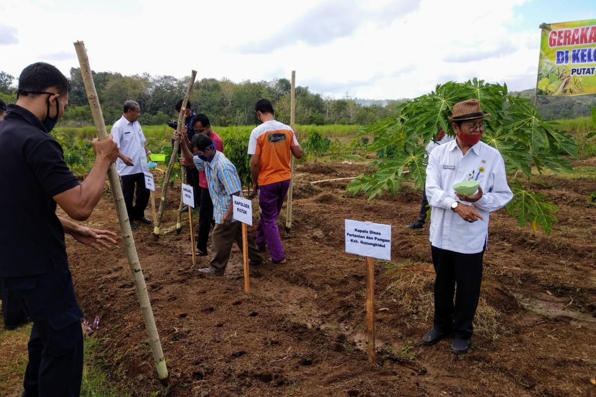 Petani Gunung Kidul diimbau bersiap memasuki masa tanam padi