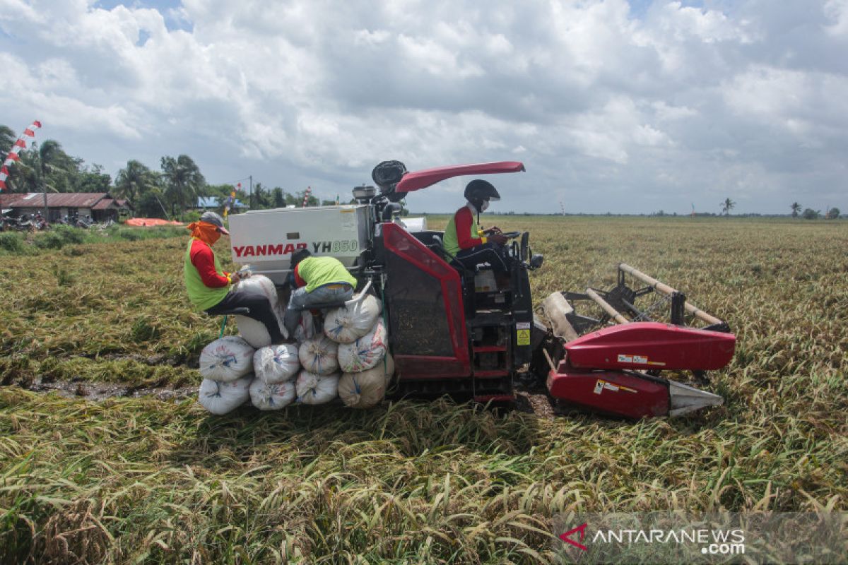 Mentan sebut lumbung pangan  ciptakan lapangan kerja