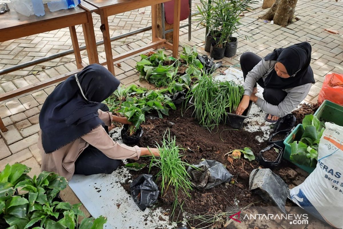 UMM students develops HSS's Sungai Raya Selatan into a vegetable village