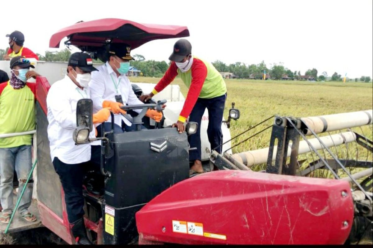 Gubernur Kalteng siap tingkatkan pembangunan jalan di kawasan 'food estate'