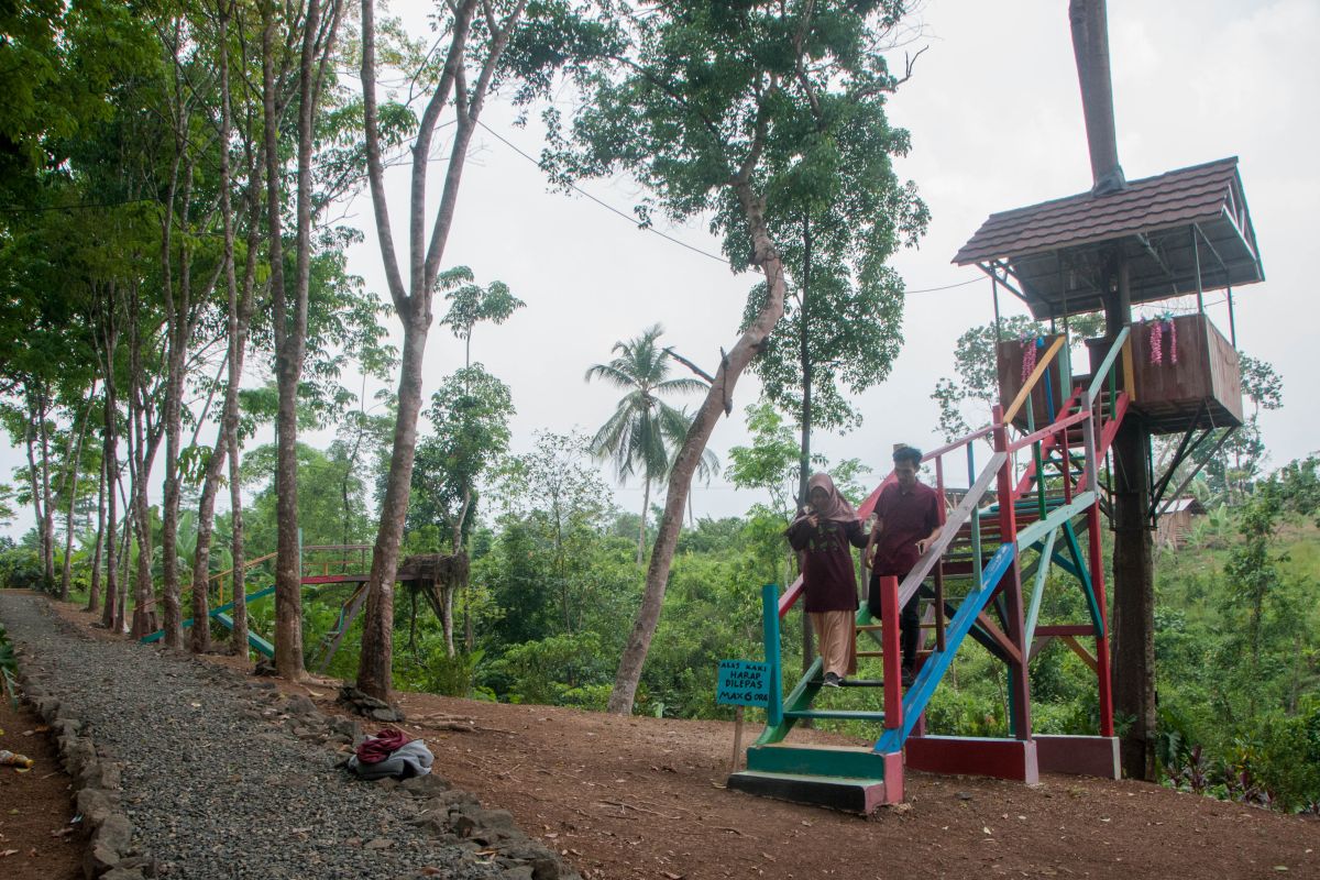 Petani Lebak keluhkan anjloknya harga getah  karet