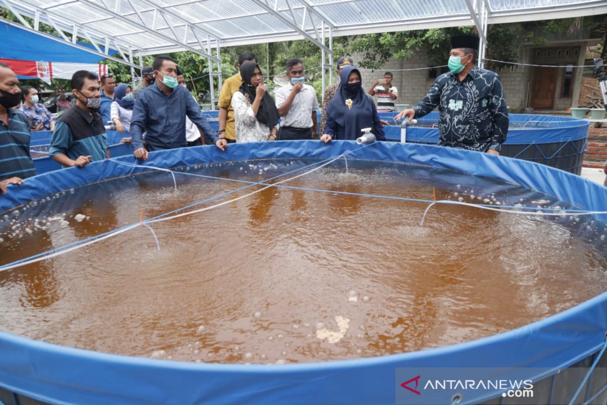 Kolam Bioflok bantuan KKP di Kandis untungnya Rp100 juta sekali panen
