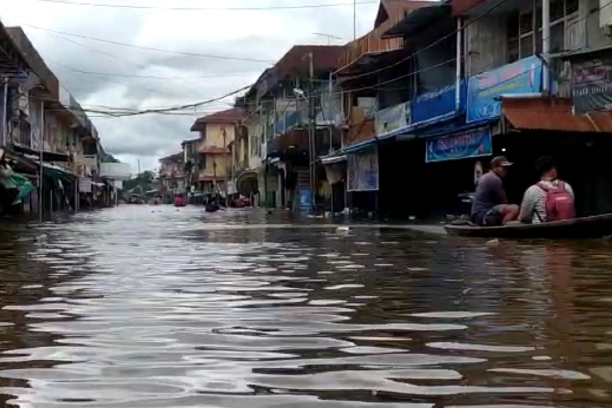 Ribuan rumah warga di Melawi terendam banjir