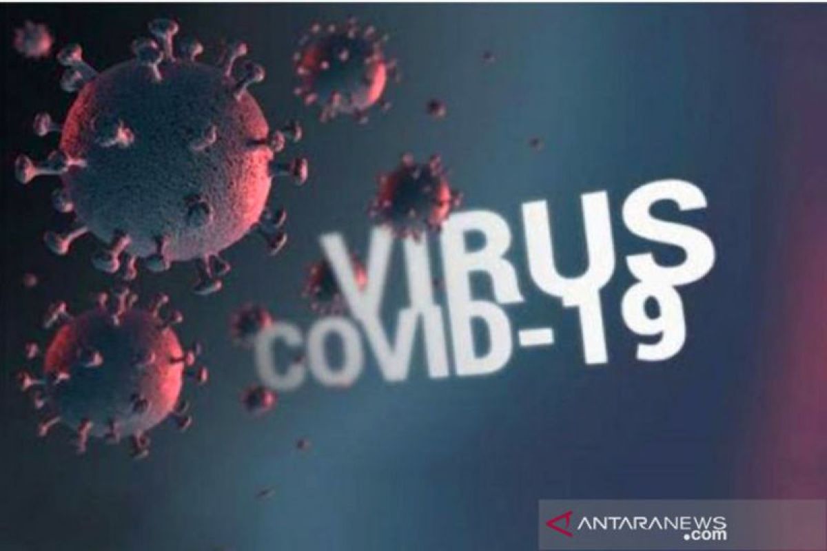 Indonesia's active COVID-19 cases fall to 54,277