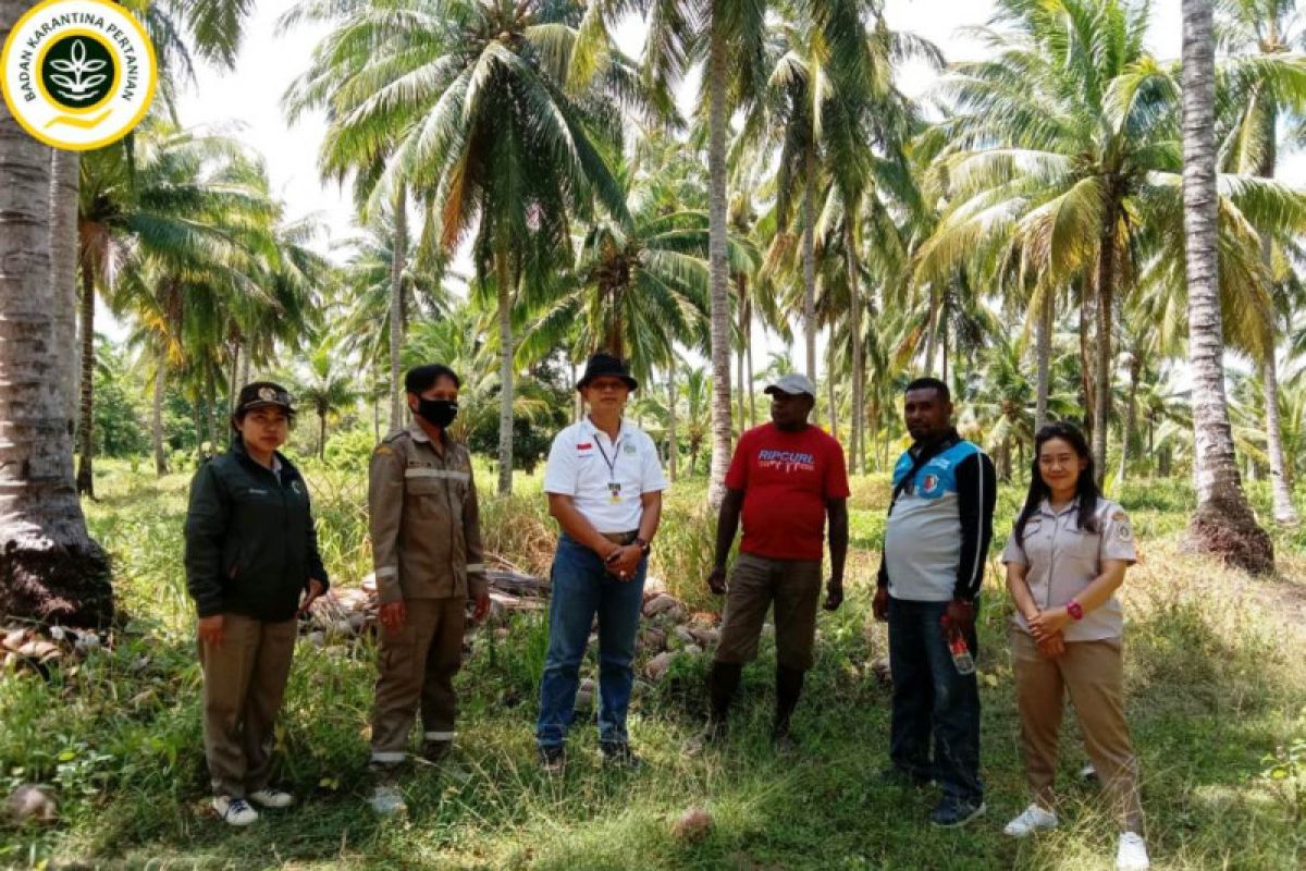 Karantina Pertanian dorong Kampung Makaling menjadi Desa Gratieks