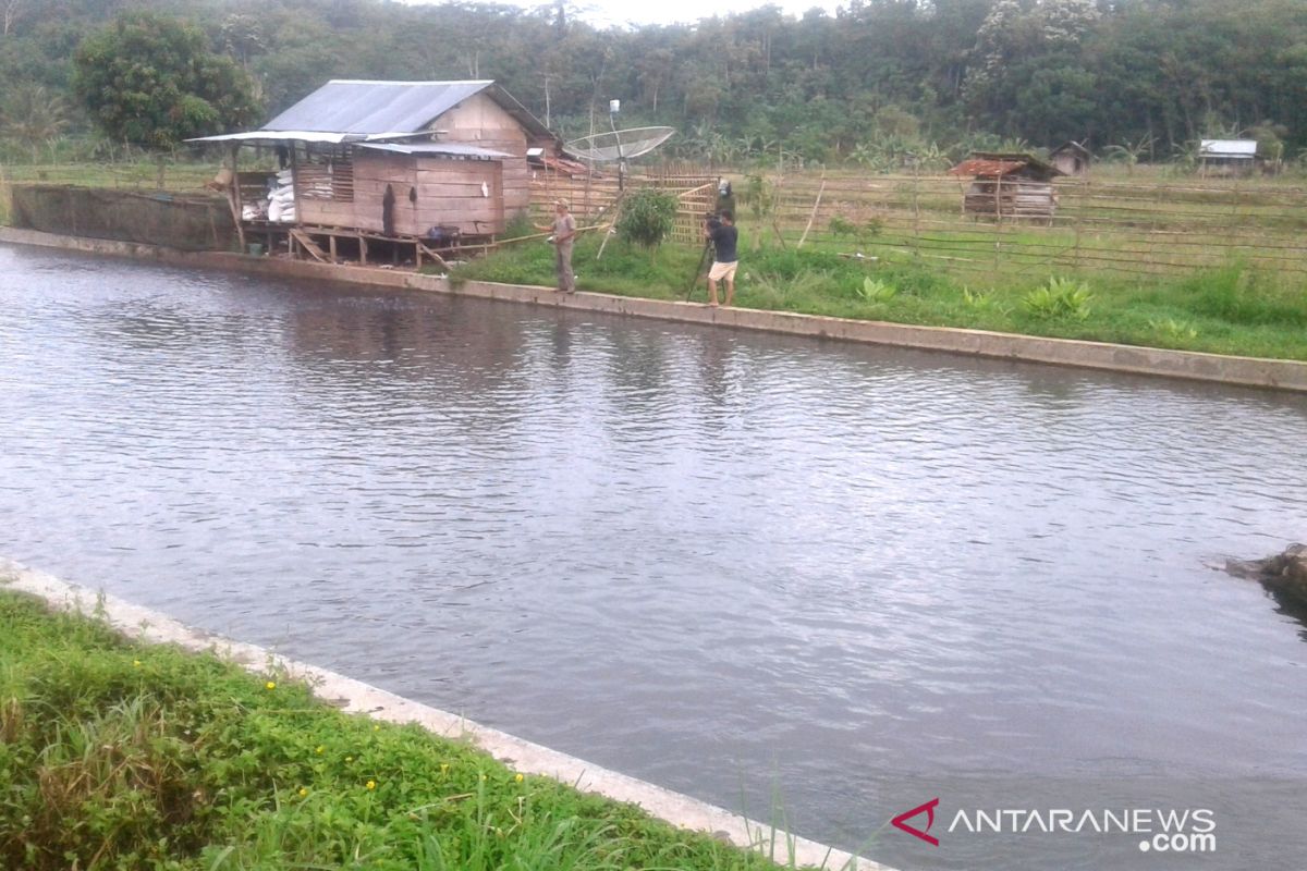 Petani ikan Desa Belumai Rejang Lebong keluhkan rendahnya harga jual